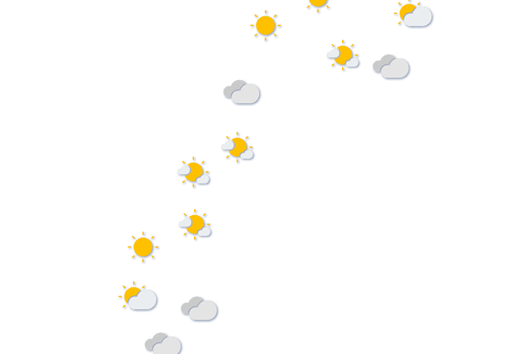 Forecast
