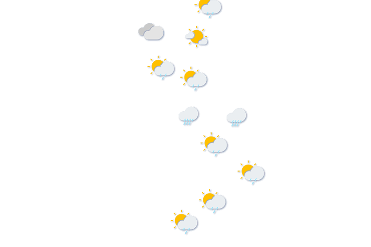 Forecast
