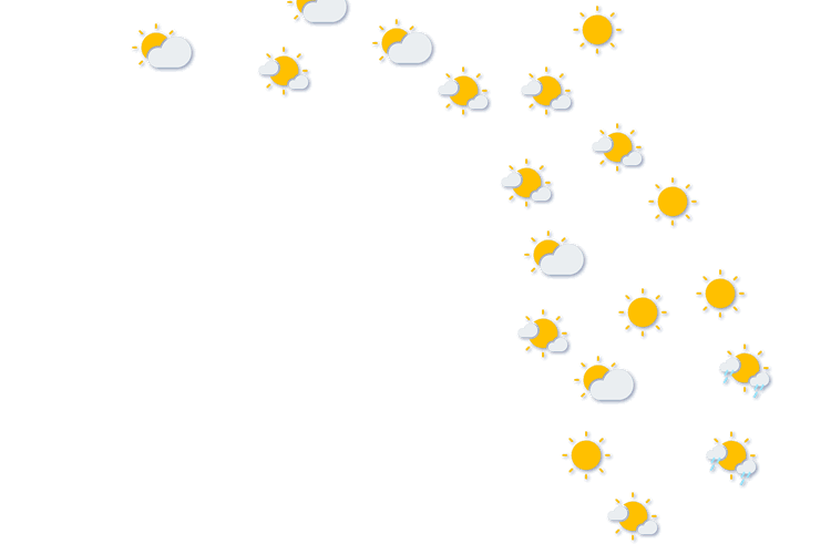 Forecast