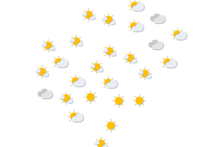 Forecast