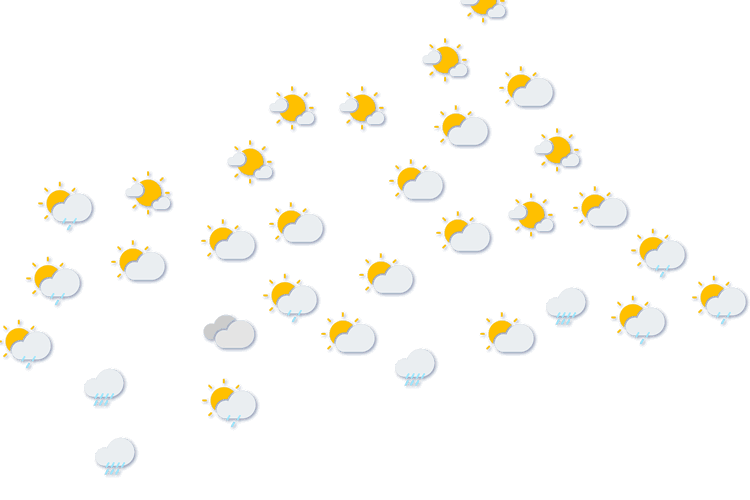 Forecast