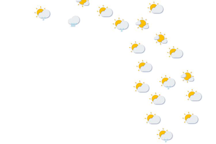 Forecast
