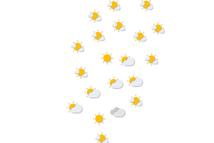 Forecast
