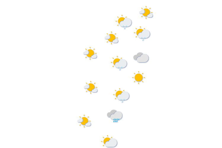 Forecast