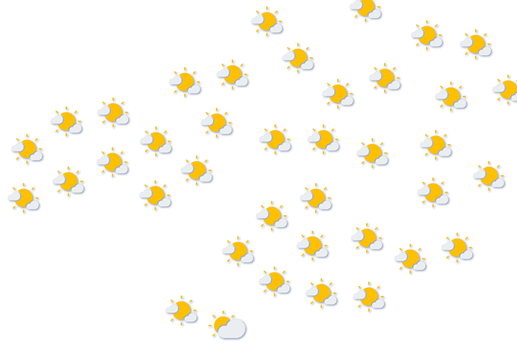 Forecast