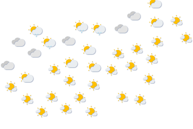Forecast