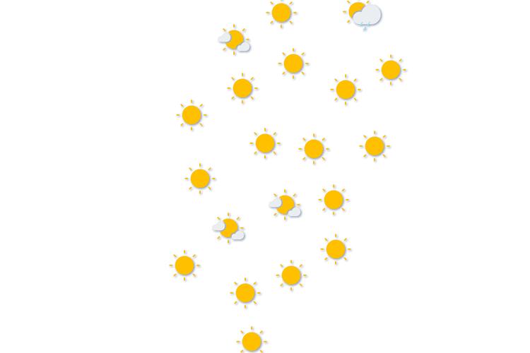 Forecast