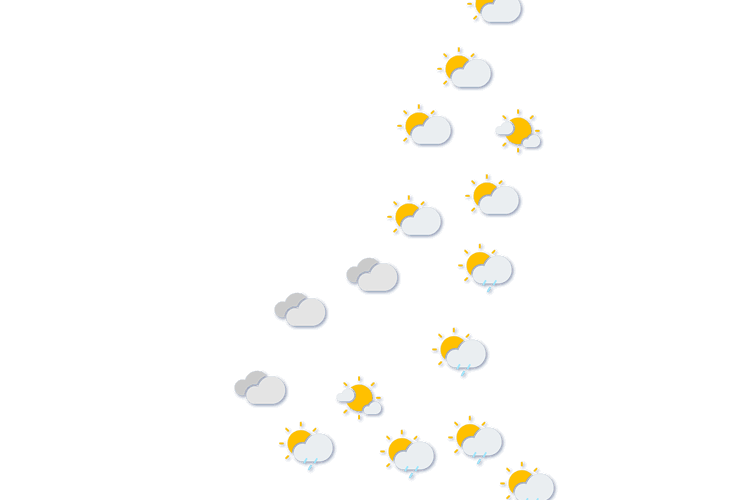 Forecast