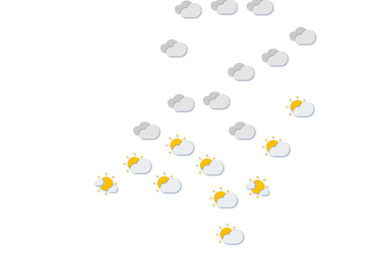 Forecast