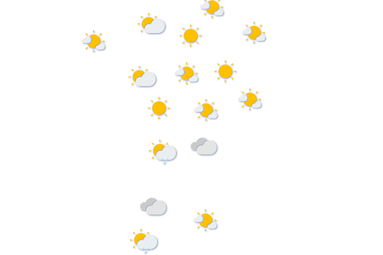 Forecast