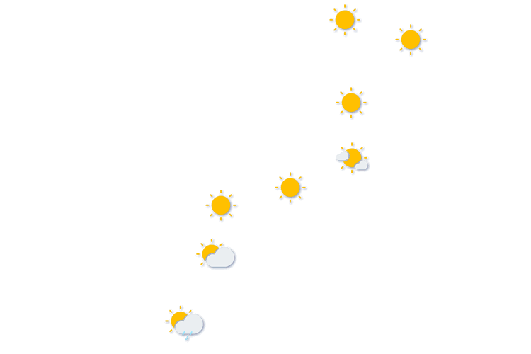 Forecast