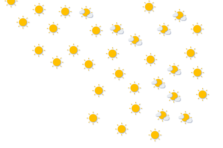 Forecast