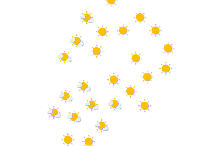 Forecast