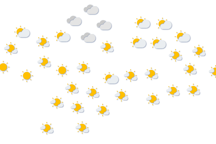 Forecast