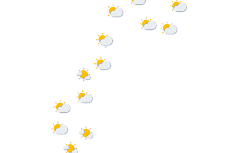 Forecast