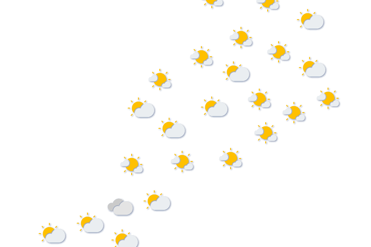 Forecast