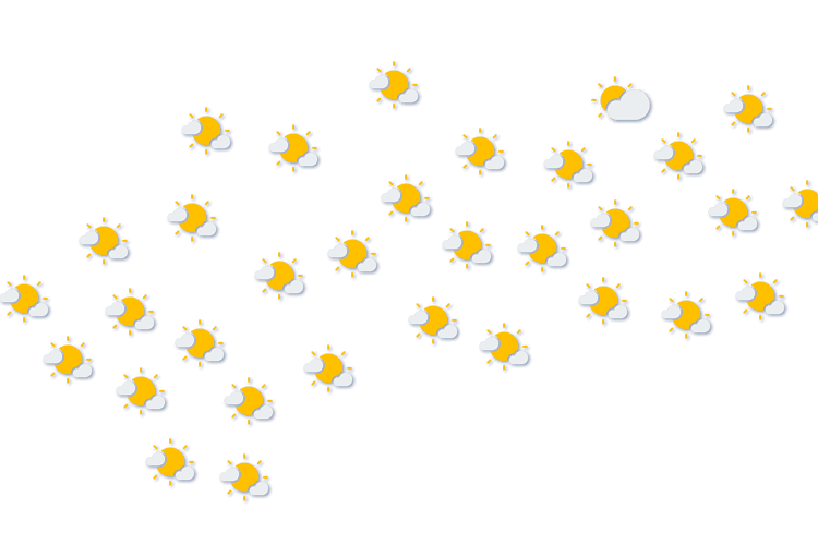 Forecast