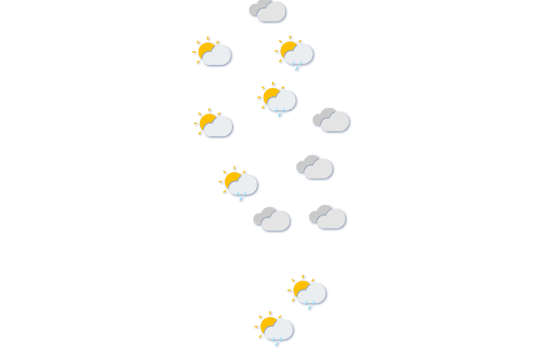 Forecast