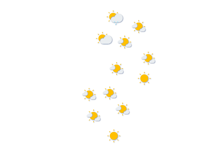 Forecast