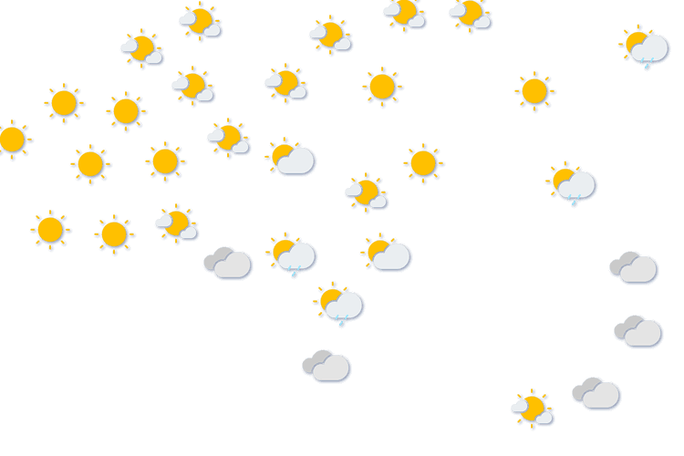 Forecast