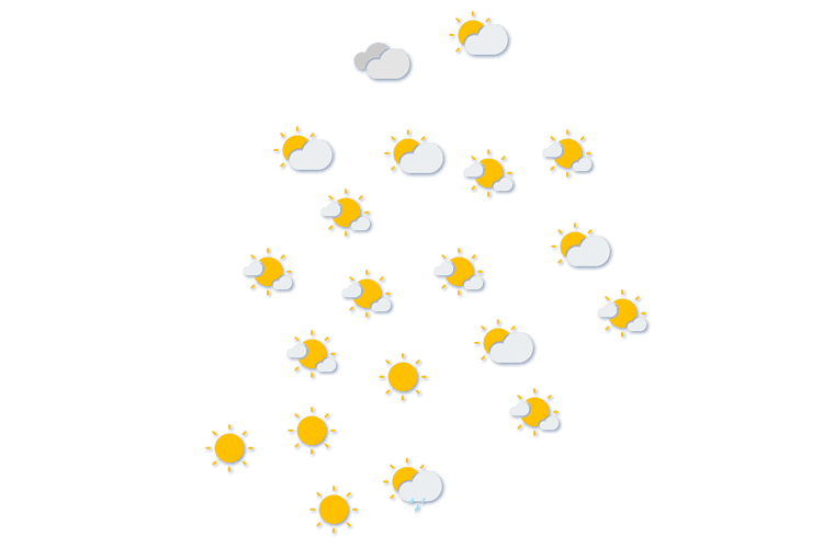 Forecast