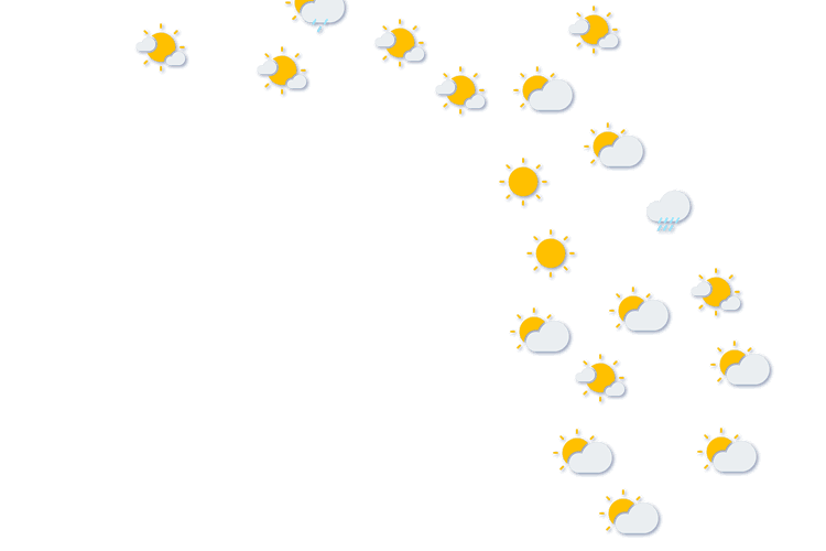 Forecast