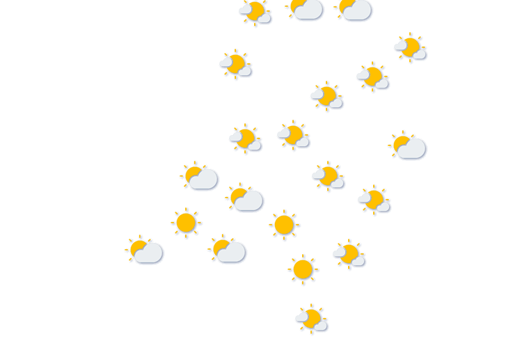 Forecast