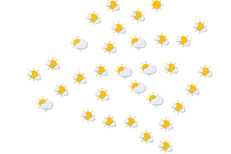 Forecast