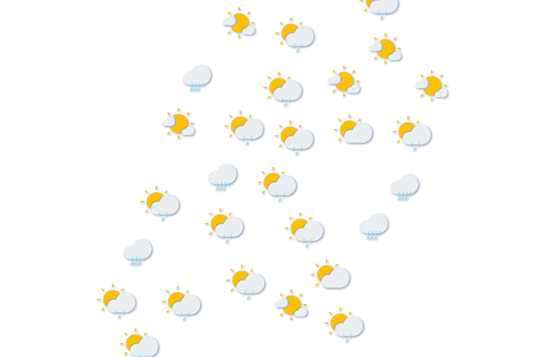 Forecast