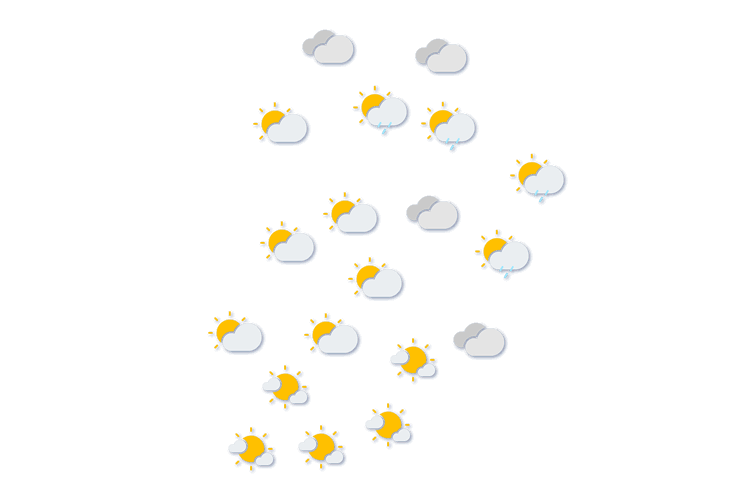 Forecast