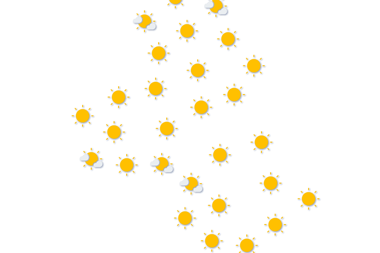 Forecast