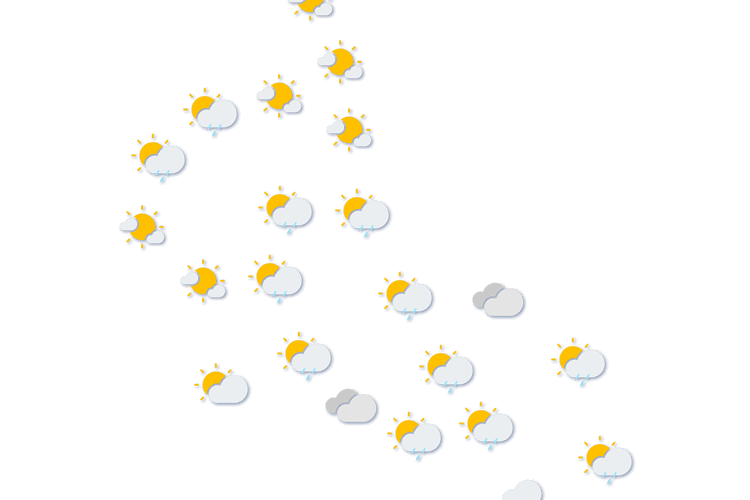 Forecast
