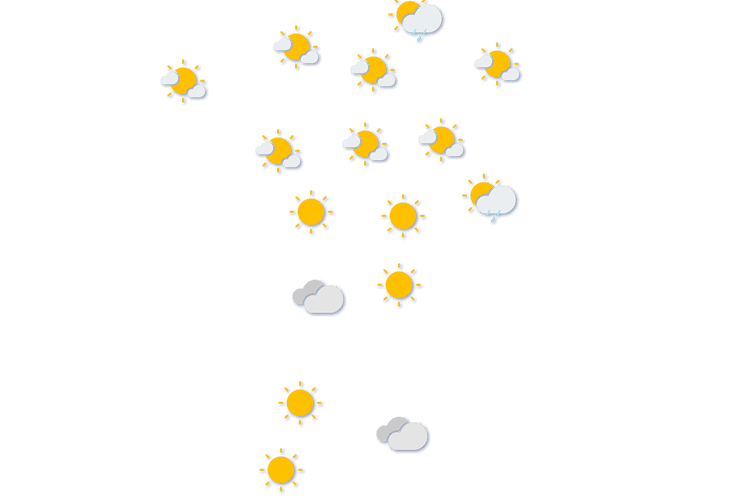 Forecast