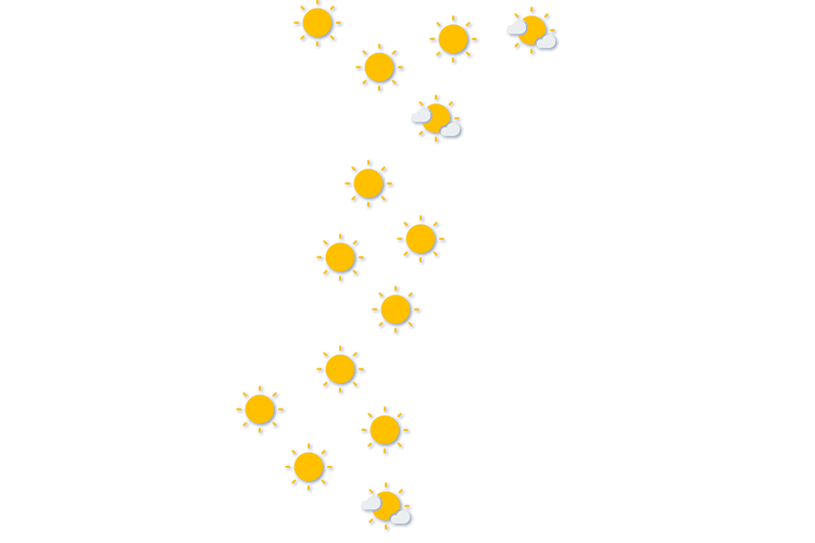 Forecast