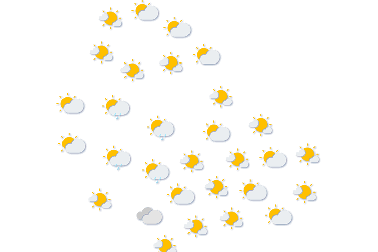 Forecast