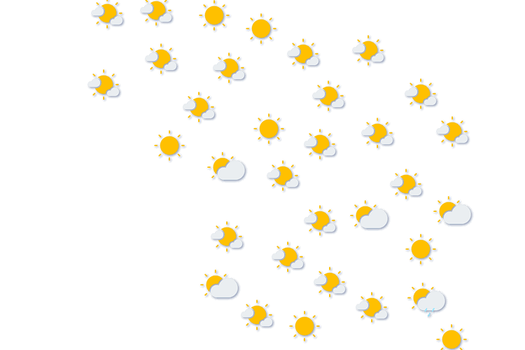 Forecast