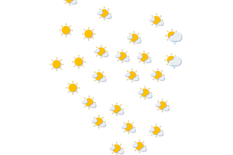 Forecast