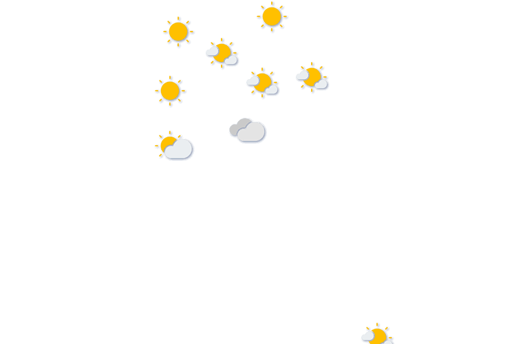 Forecast