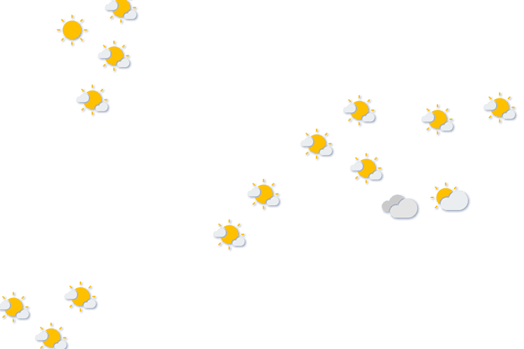 Forecast