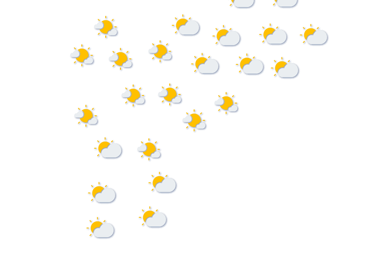Forecast
