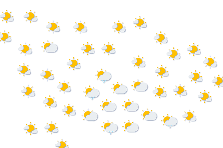 Forecast