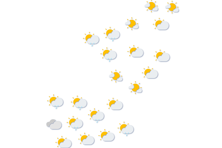 Forecast