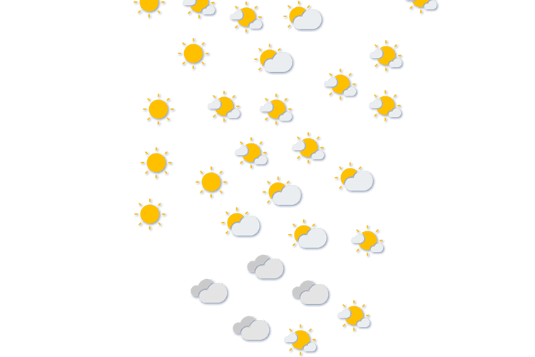 Forecast