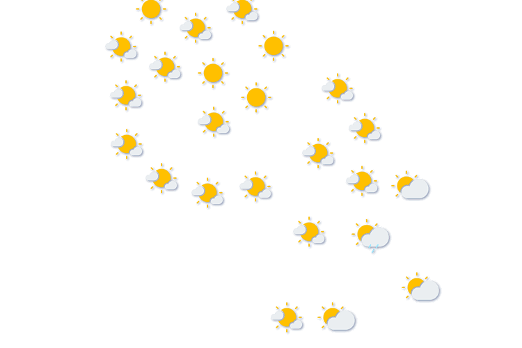 Forecast