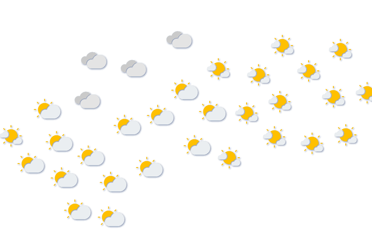 Forecast