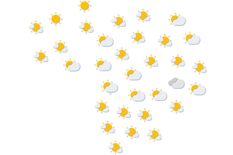 Forecast