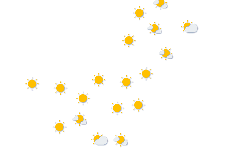 Forecast