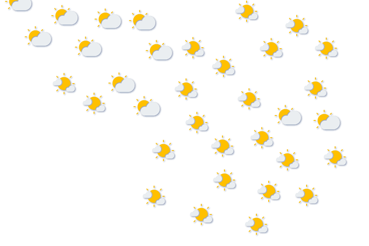 Forecast