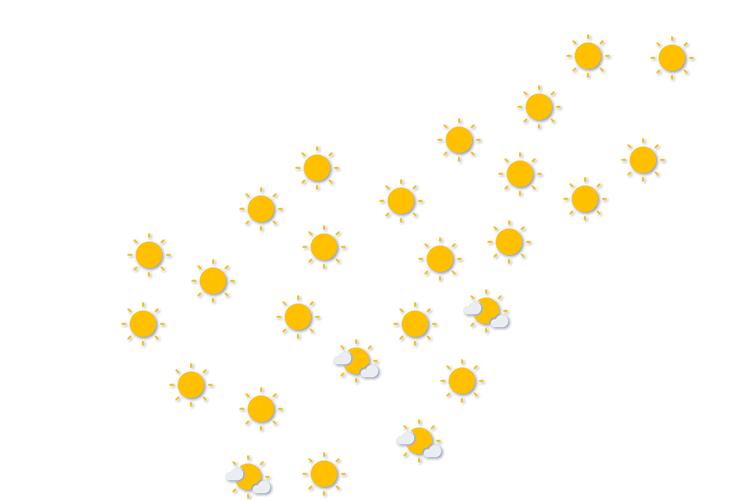 Forecast
