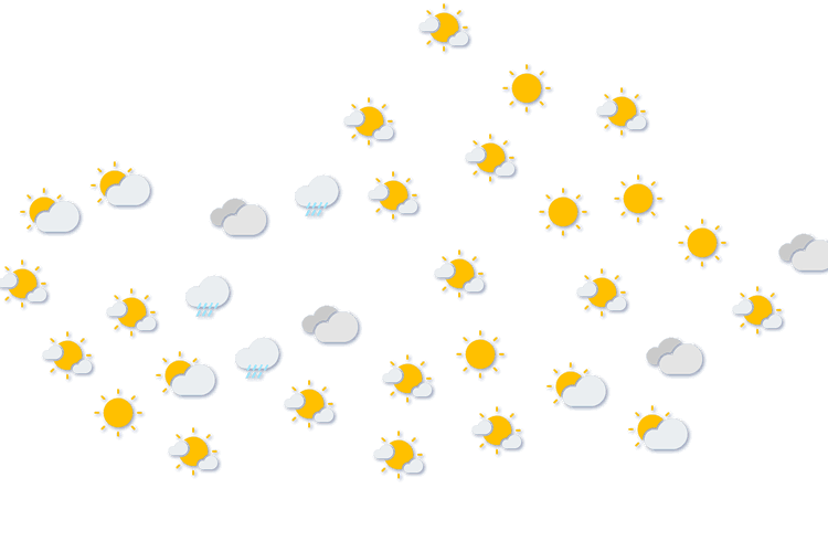 Forecast